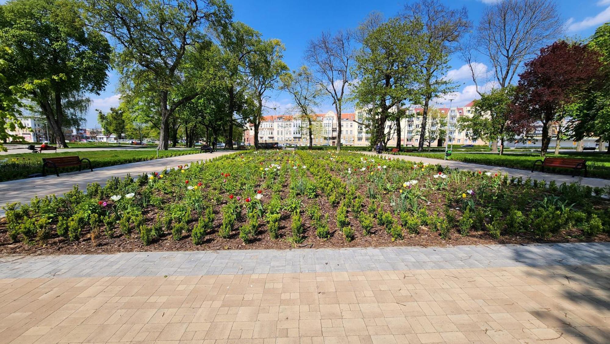 Apartament Garncarska Elblag Ngoại thất bức ảnh